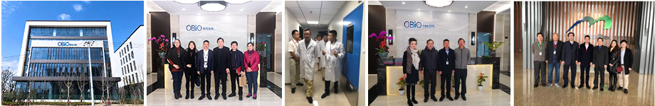 Bomin establishes cooperation with listed companies and metaorganisms